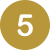 5 5